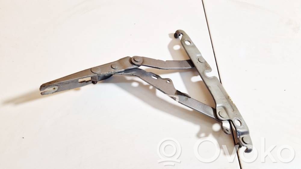 Audi A6 S6 C6 4F Cerniere del vano motore/cofano 