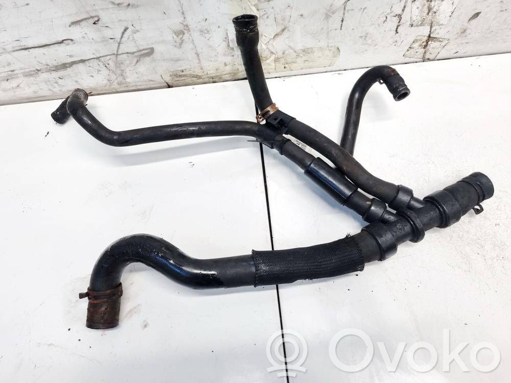 Renault Scenic I Caurulīte (-es) / šļūtene (-es) 