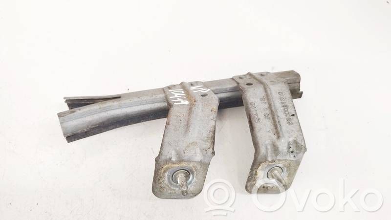 Renault Laguna III Listwa / Uszczelka szyby drzwi 