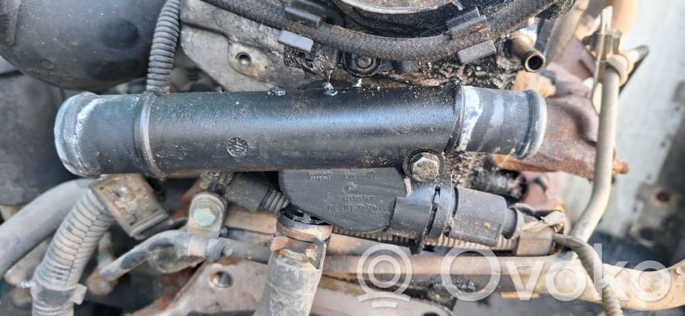Skoda Octavia Mk1 (1U) Tubo flessibile del liquido di raffreddamento del motore