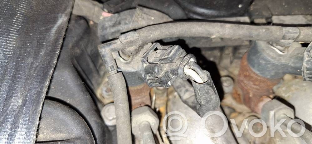 Inyector de combustible   0445110036,0445110036