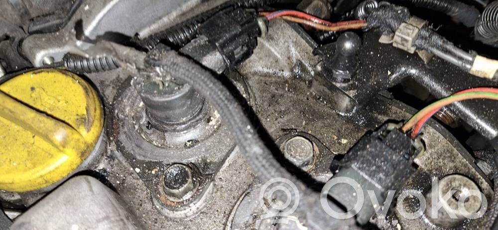 Inyector de combustible   0445110175,0445110175