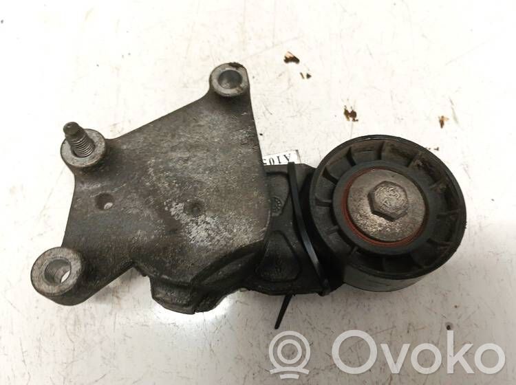 Peugeot 308 Tendicinghia generatore/alternatore 