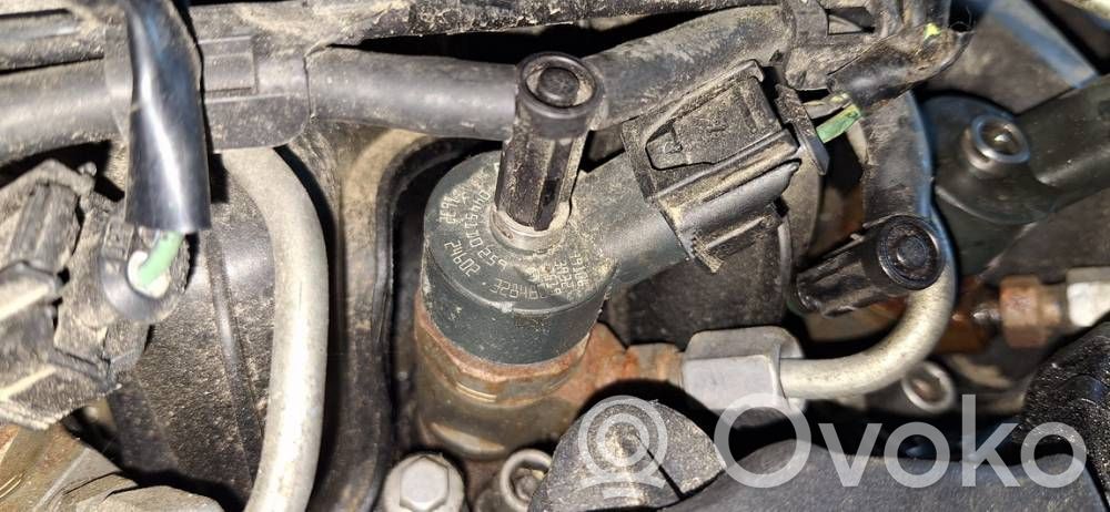 Inyector de combustible   0445110259,0445110259
