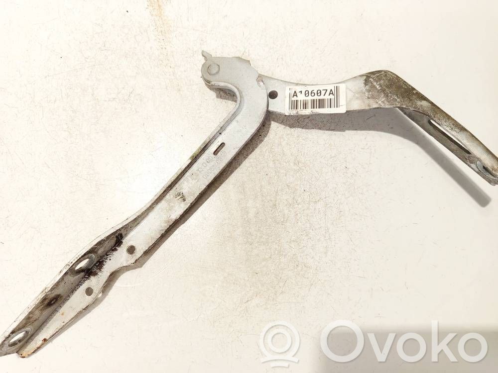 Peugeot 307 Cerniere del vano motore/cofano 