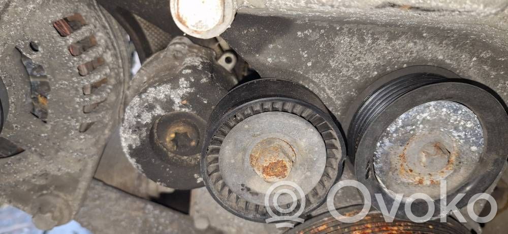 Tensor de correa del alternador   95050,95050