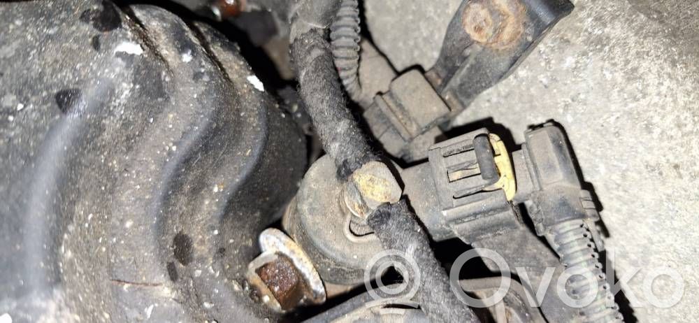 Inyector de combustible   0445110276,0445110276