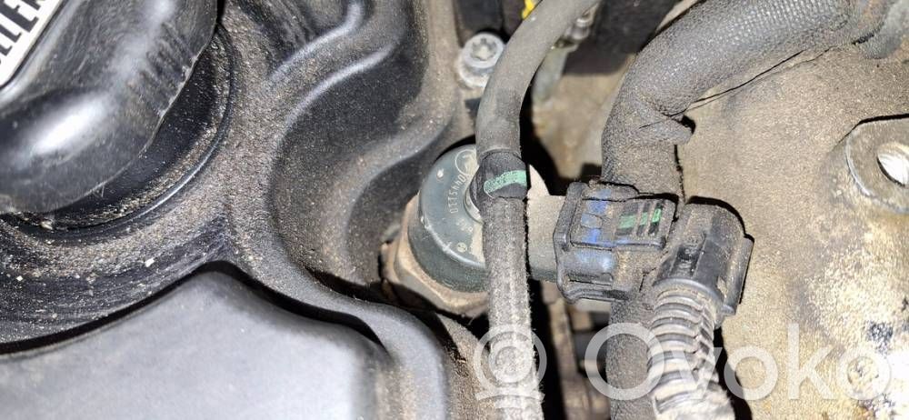 Injector combustibil   0445110119,0445110119