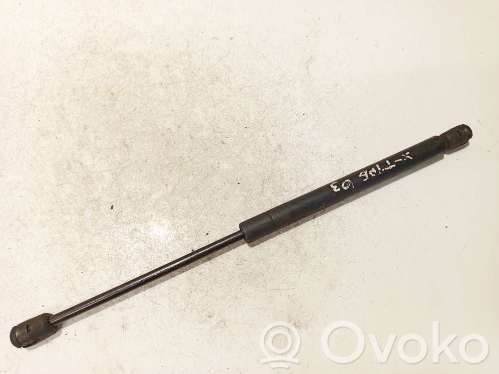 Land Rover Range Rover Sport L320 Amortizor capotă motor 
