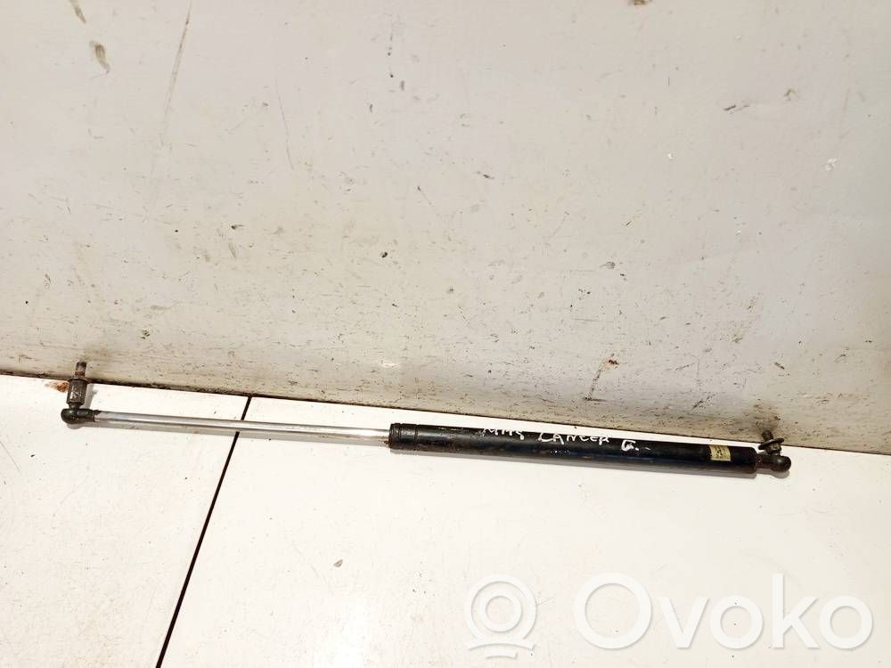 Tailgate/trunk strut/damper