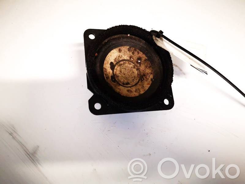 Infiniti QX50 (J50) Altavoz de la puerta delantera 