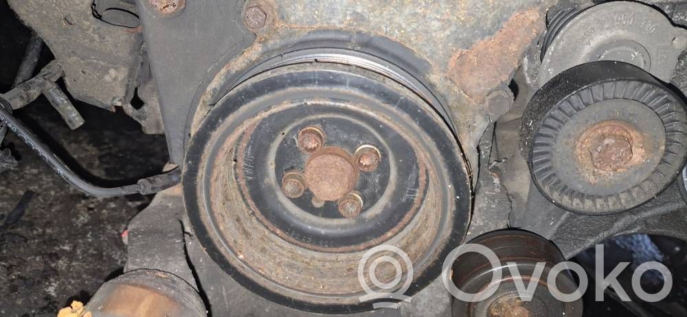 Riemenscheibe   03G105243,03G105243