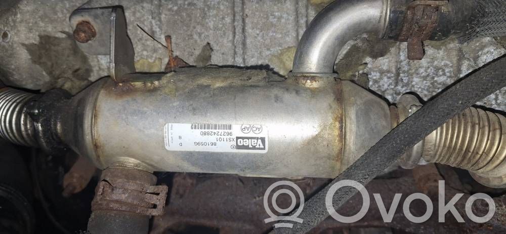 Peugeot 406 Valvola di raffreddamento EGR 