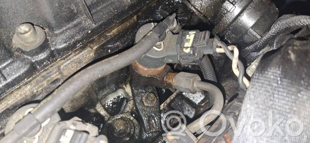 Peugeot 406 Injector combustibil 