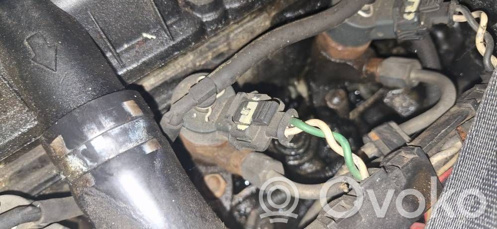 Peugeot 406 Injector combustibil 