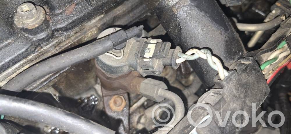 Peugeot 406 Iniettore