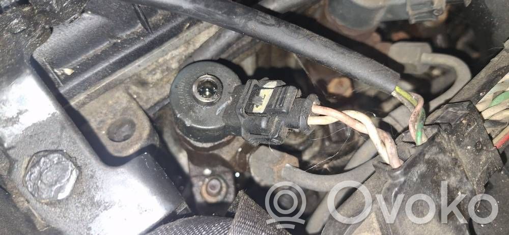 Injector combustibil   0445110062,9640088780,0445110062,9640088780