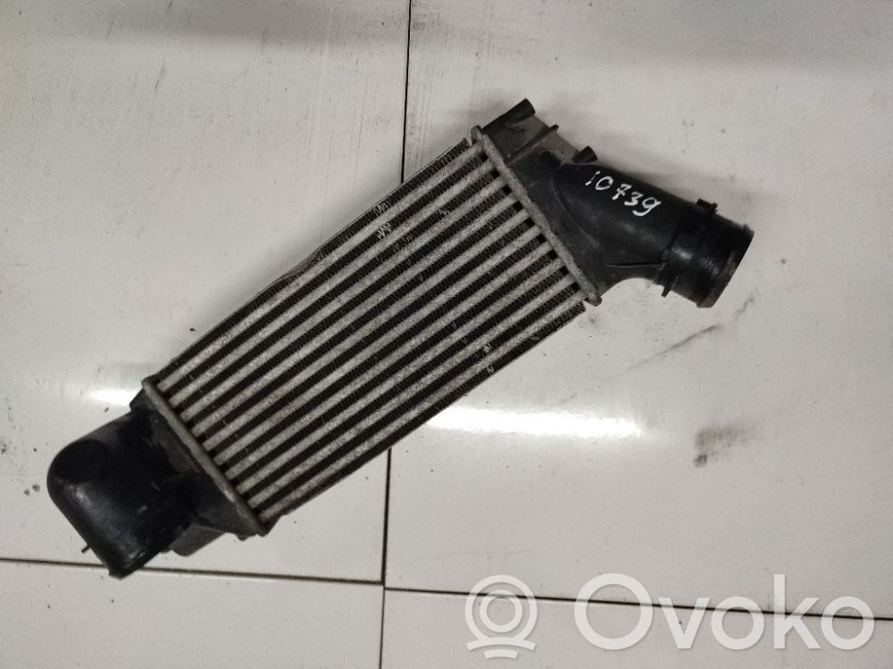 Chłodnica powietrza doładowującego / Intercooler   965525880,965525880,9656525880