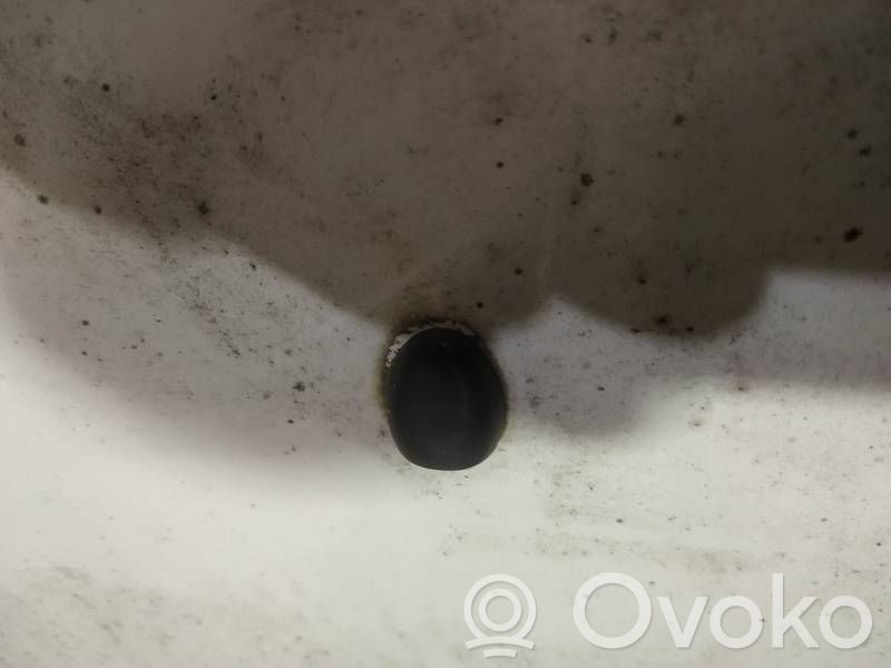 Windshield washer spray nozzle