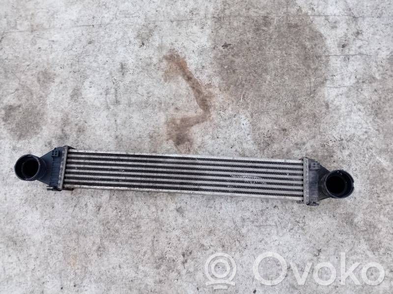Mercedes-Benz A W169 Radiator intercooler 