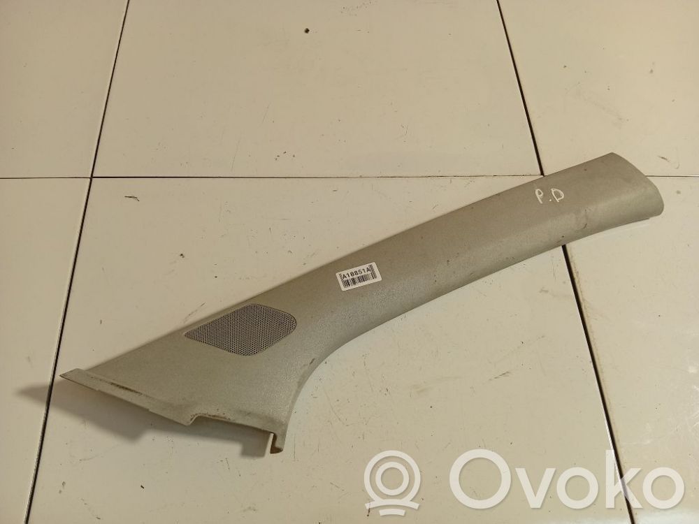 Volkswagen Polo IV 9N3 Rivestimento montante (C)