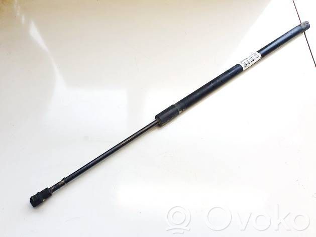 Tailgate/trunk strut/damper   C145,C145