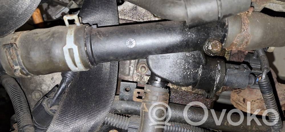 Skoda Fabia Mk1 (6Y) Tubo flessibile del liquido di raffreddamento del motore