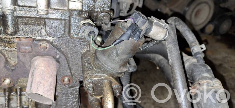 Válvula EGR   036131818,036131818