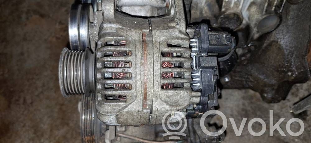 Generatore/alternatore   028903028D,028903028D