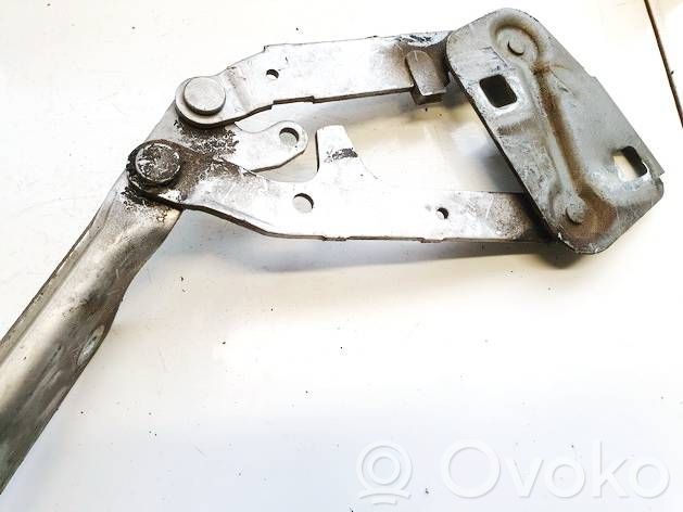 Peugeot 406 Balamale capotă 