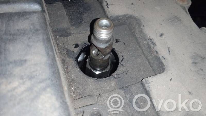 Injector combustibil