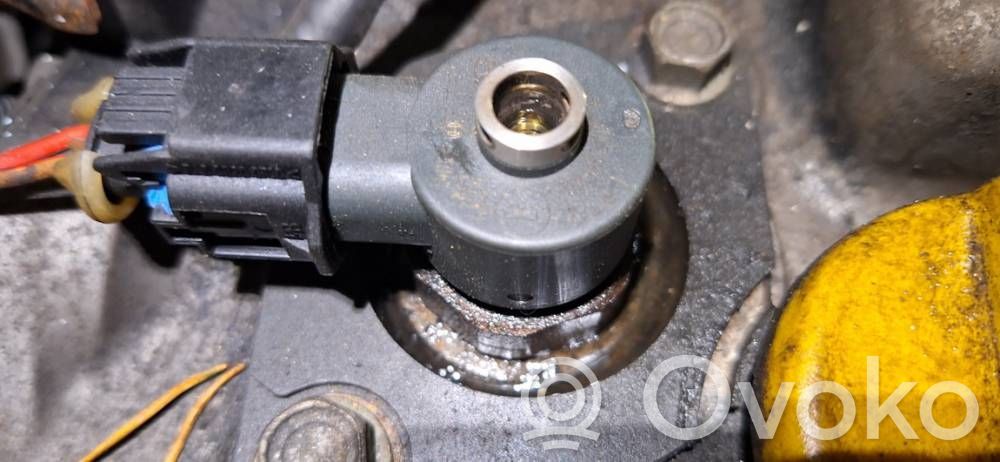 Inyector de combustible   0445110175,0445110175