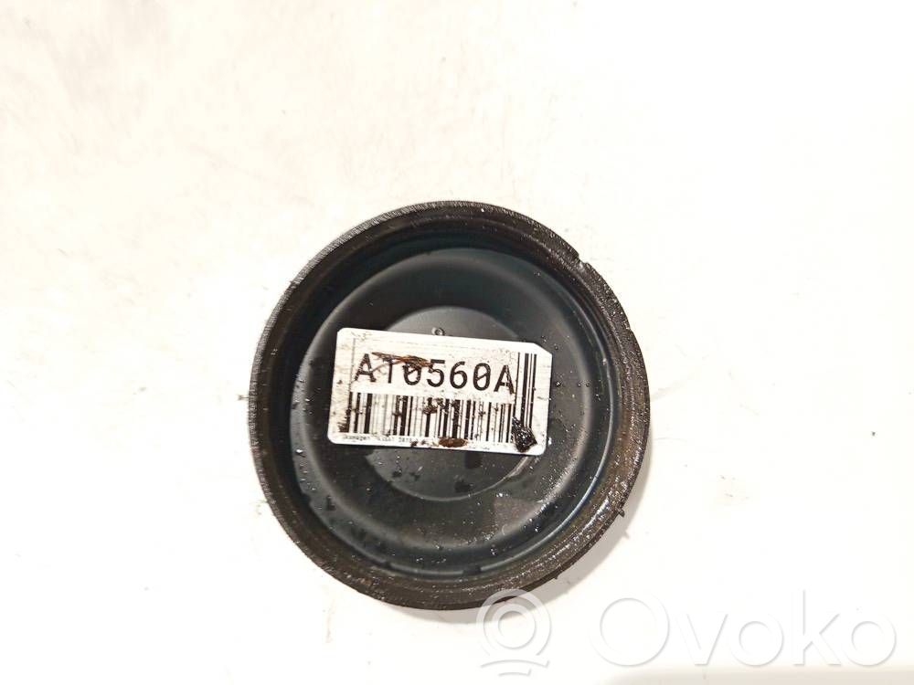 Volkswagen PASSAT B7 Headlight/headlamp dust cover 