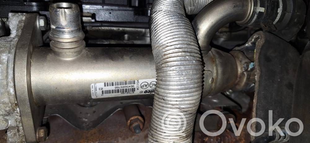 Volvo V50 Valvola di raffreddamento EGR