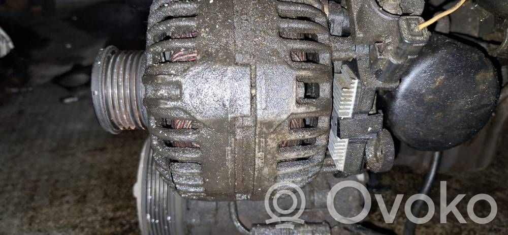 Generator/alternator   9646321880,9646321880