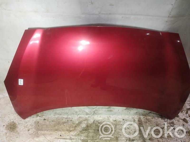 Vano motore/cofano   RAUDONAS,RAUDONAS