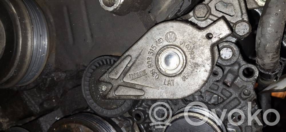 Volkswagen Bora Întinzător curea generator/alternator 