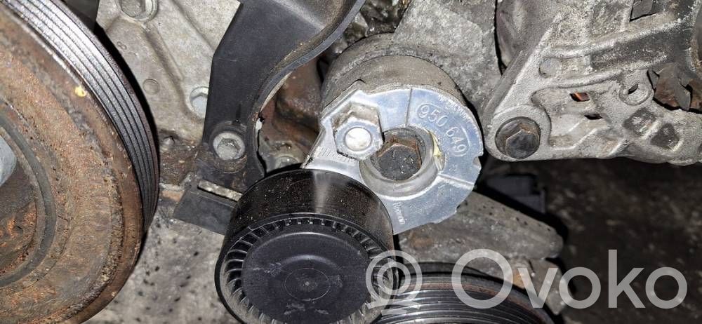 Tensor de correa del alternador   950649,950649