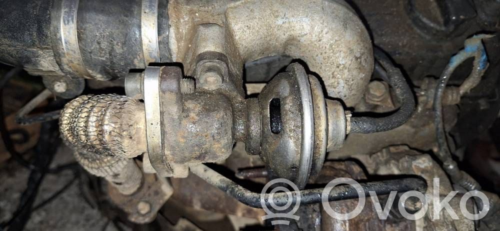 Volkswagen PASSAT B5 Valvola EGR 