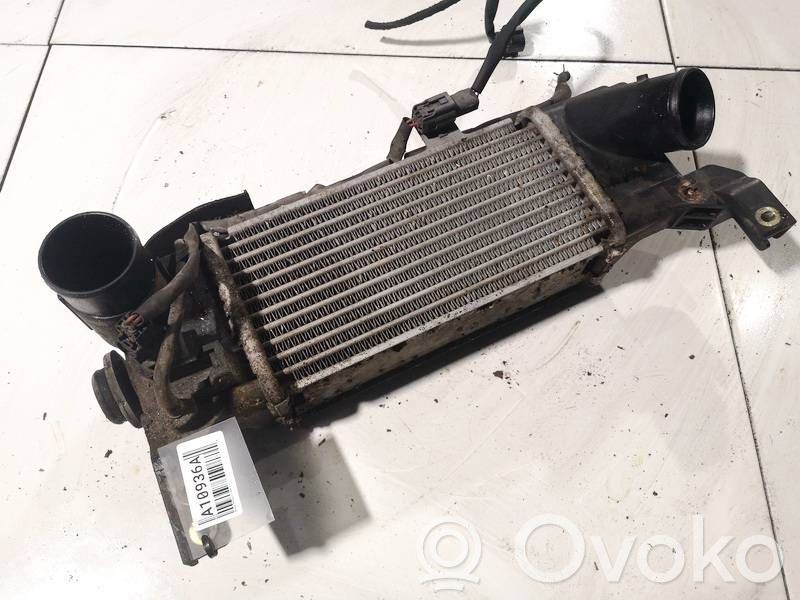 Intercooler radiator
