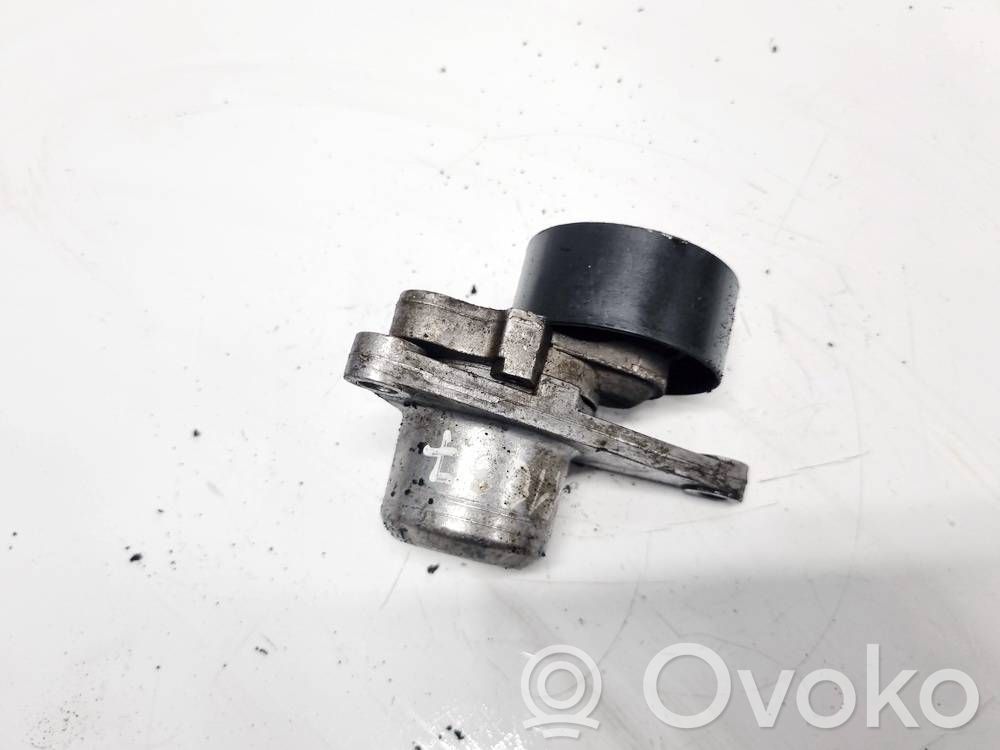 Renault Laguna III Tendicinghia generatore/alternatore