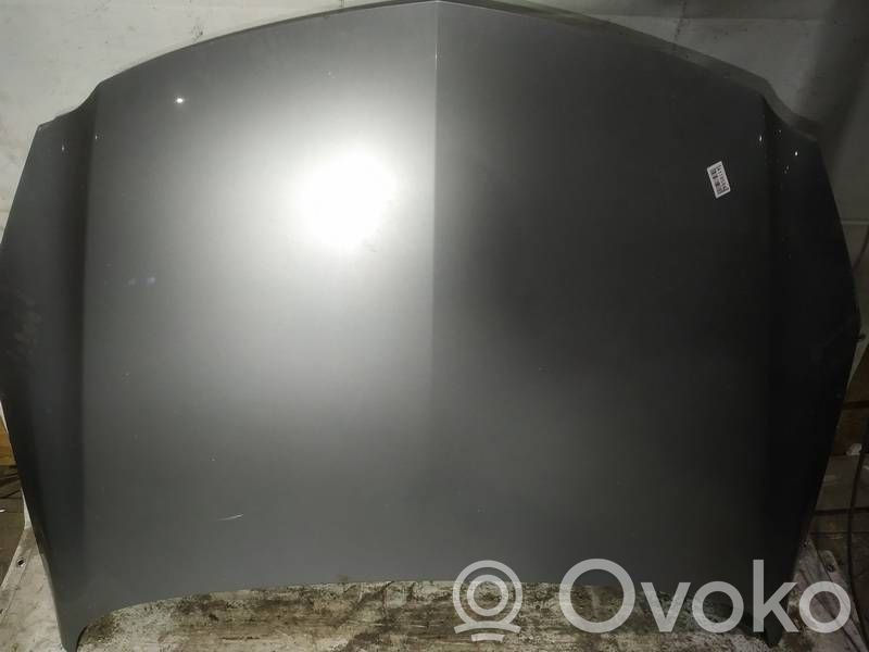Opel Insignia A Motorhaube