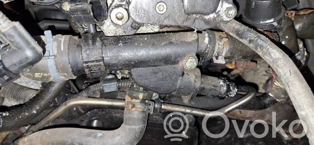 Ford Galaxy Tubo flessibile del liquido di raffreddamento del motore