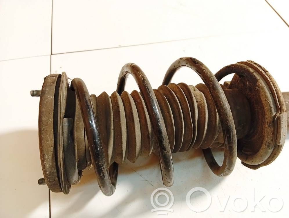 Front coil spring