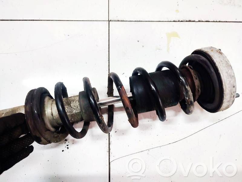 Rear coil spring