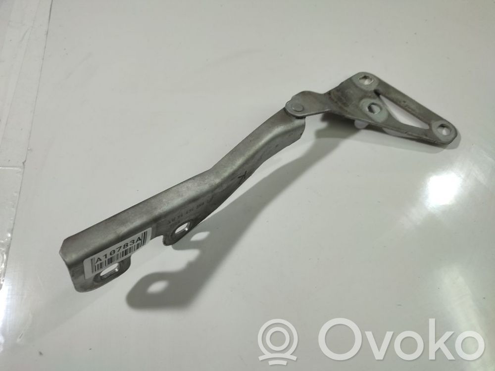Opel Signum Balamale capotă 