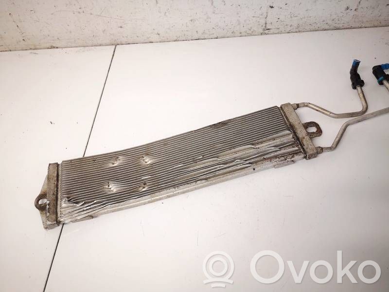 Seat Ibiza III (6L) Radiatore del carburatore (radiatore)