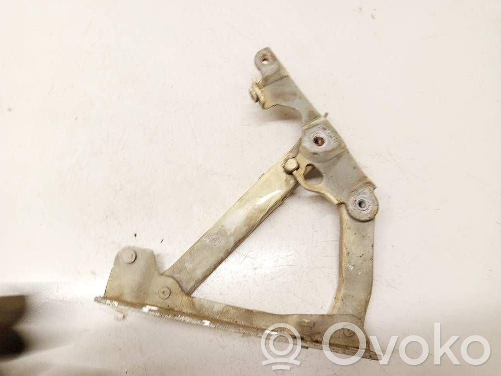 Mercedes-Benz E W211 Cerniere del vano motore/cofano