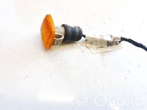 Volkswagen Bora Seitenblinker 