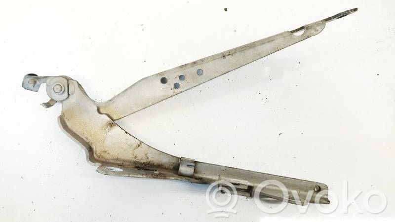 Volvo S60 Balamale capotă 